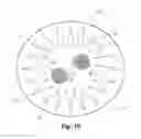 Fig. 28 - Placement insensitive antenna for RFID, sensing, and/or communication systems