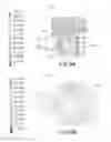 Fig. 09 - Corrective measures and devices for bi-stable flow phenomena in fluid valves