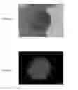 Fig. 04 - Catalyst for reforming hydrocarbon gas, method of manufacturing the same, and method of manufacturing synthesized gas