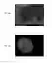 Fig. 05 - Catalyst for reforming hydrocarbon gas, method of manufacturing the same, and method of manufacturing synthesized gas