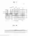 Fig. 02 - Organic light emitting diode display device and method of manufacturing the same