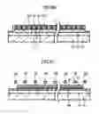 Fig. 09 - Microwave semiconductor device using compound semiconductor and method for manufacturing the same
