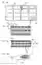 Fig. 11 - Securities, chip mounting product, and manufacturing method thereof
