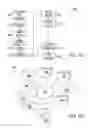 Fig. 09 - Planar silicide semiconductor structure
