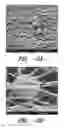 Fig. 03 - Process of forming a nanofiber non-woven containing particles