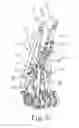 Fig. 08 - Collapsible stroller