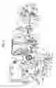 Fig. 03 - Vehicle door latch apparatus