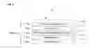 Fig. 06 - Luminous garnish for vehicle