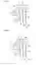 Fig. 06 - Linear oscillatory actuator