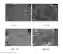 Fig. 09 - Filament including carbon nanotubes and method of making a filament including carbon nanotubes
