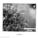Fig. 15 - Filament including carbon nanotubes and method of making a filament including carbon nanotubes