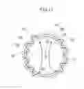 Fig. 23 - Moving magnetic field generating apparatus