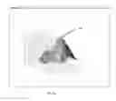 Fig. 11 - Micro positioning test socket and methods for active precision alignment and co-planarity feedback