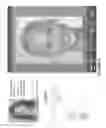 Fig. 08 - System and method for changing hair color in digital images