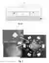 Fig. 07 - OPTICALLY VARIABLE SECURITY DEVICES