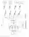 Fig. 14 - ASYMMETRICAL LINKS IN WIRELESS COMMUNICATIONS