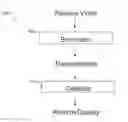 Fig. 01 - Compressed domain video watermarking