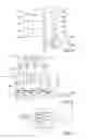 Fig. 03 - Coder and Decoder, Coding Method and Decoding Method, and System Comprising a Coder and a Decoder