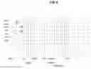 Fig. 07 - SYSTEM AND METHODS FOR APPLYING BASS COMPENSATION IN AN AUTOMOBILE