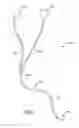 Fig. 02 - Cables with intertwined strain relief and bifurcation structures