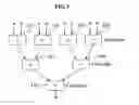 Fig. 06 - Median filtering method and apparatus
