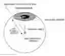Fig. 01 - Visual line estimating apparatus