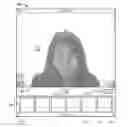 Fig. 01 - Image capture and manipulation
