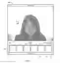 Fig. 02 - Image capture and manipulation