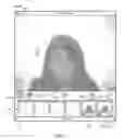 Fig. 06 - Image capture and manipulation