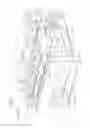 Fig. 18 - Image forming apparatus