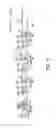 Fig. 21 - Developing cartridge and image forming device with pressing member