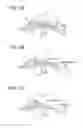 Fig. 03 - Developing device having a magnetic member and image forming apparatus including developing device