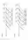 Fig. 06 - Image forming apparatus having preregistration mechanism