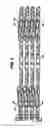 Fig. 09 - Collapsible intermodal transport platform