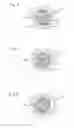 Fig. 04 - Vane pump having an oil supply passage communicating with a gas passage in the stopping state