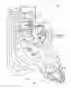 Fig. 02 - Treating heart tissue