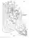 Fig. 02 - Treating heart tissue