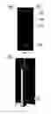 Fig. 07 - CAPILLARY FLOW TEST ASSEMBLY