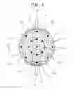 Fig. 12 - Honeycomb structural body and electrical heated catalyst device