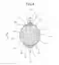 Fig. 05 - Honeycomb structural body and electrical heated catalyst device