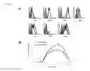 Fig. 04 - METHODS FOR TREATING CANCERS AND DISEASES ASSOCIATED WITH 4-1BB (CD137) EXPRESSION
