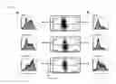 Fig. 05 - METHODS FOR TREATING CANCERS AND DISEASES ASSOCIATED WITH 4-1BB (CD137) EXPRESSION