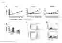 Fig. 07 - METHODS FOR TREATING CANCERS AND DISEASES ASSOCIATED WITH 4-1BB (CD137) EXPRESSION