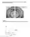Fig. 04 - Protofibril selective antibodies and the use thereof