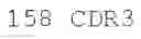 Fig. 24 - Protofibril selective antibodies and the use thereof