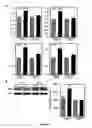 Fig. 04 - METHODS OF TREATING CANCERS