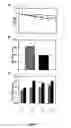 Fig. 08 - METHODS OF TREATING CANCERS