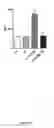 Fig. 20 - Method for the treatment of acquired lymphedema