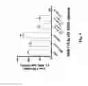 Fig. 02 - Nanoparticles for Extravascular Administration