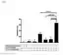 Fig. 02 - Combination of anticholinergics, β2-adrenoceptor agonists, antileukotrienes (leukotriene receptor antagonists), glucocorticoids and/or phosphodiesterase 4 inhibitors for the treatment of inflammatory diseases